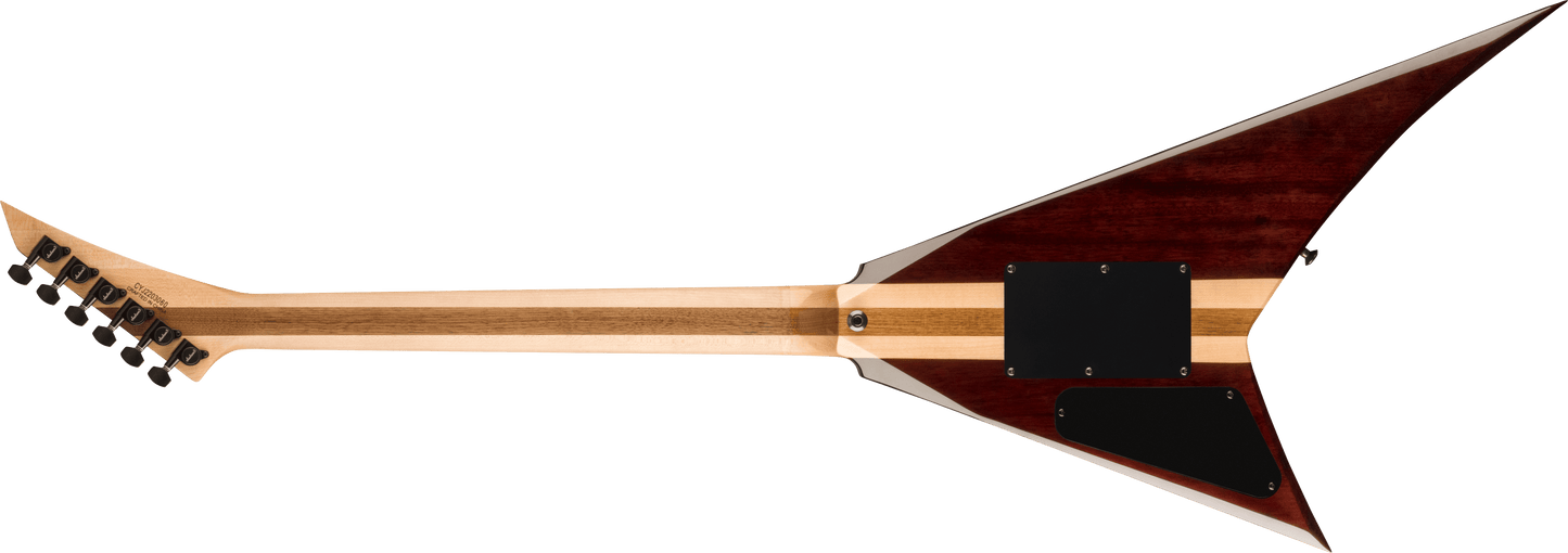 Pro Plus Series Rhoads RR24PS