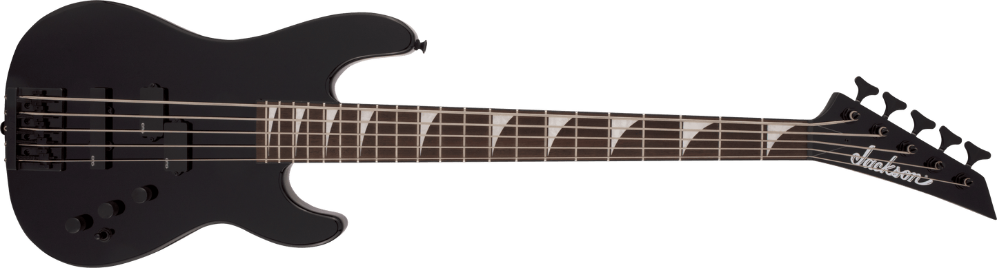 X Series Signature David Ellefson 30th Anniversary Concert™ Bass CBX V